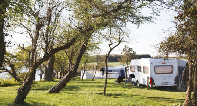 Fremtidens campingplads skal satse på naturoplevelser for hele familien