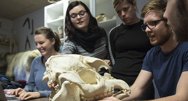 Foruden bjørne, bavianer og bævere vil Zoologisk Have i Aalborg fremover også huse en flok biologistuderende fra AAU. Foto: AAU